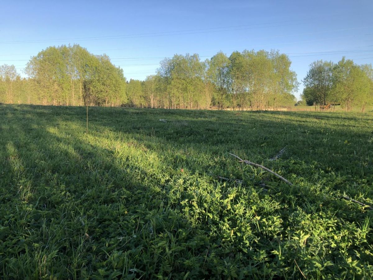 Купить загородную недвижимость в деревне Заостровье Ломоносовского района,  продажа загородной недвижимости - база объявлений Циан. Найдено 6 объявлений