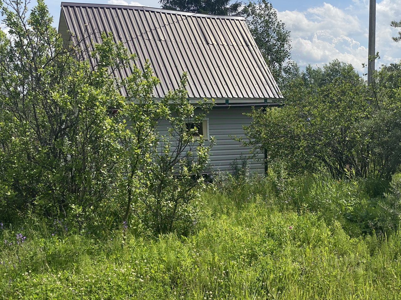 Купить загородную недвижимость в СНТ Вымпел в садоводческом массиве  Посадников остров, продажа загородной недвижимости - база объявлений Циан.  Найдено 2 объявления