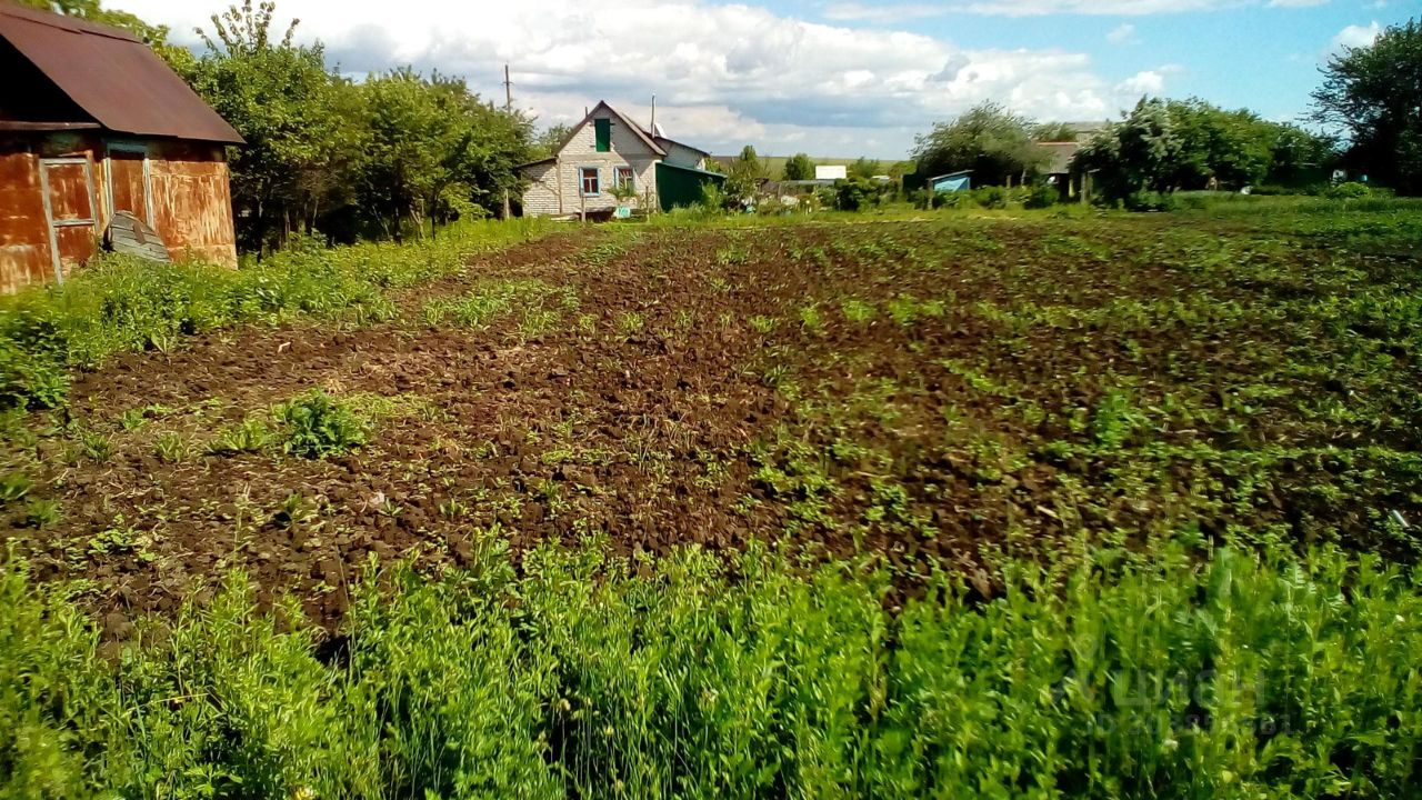 Купить земельный участок в СНТ Березка в сельсовет Клюквинский, продажа  земельных участков - база объявлений Циан. Найдено 2 объявления