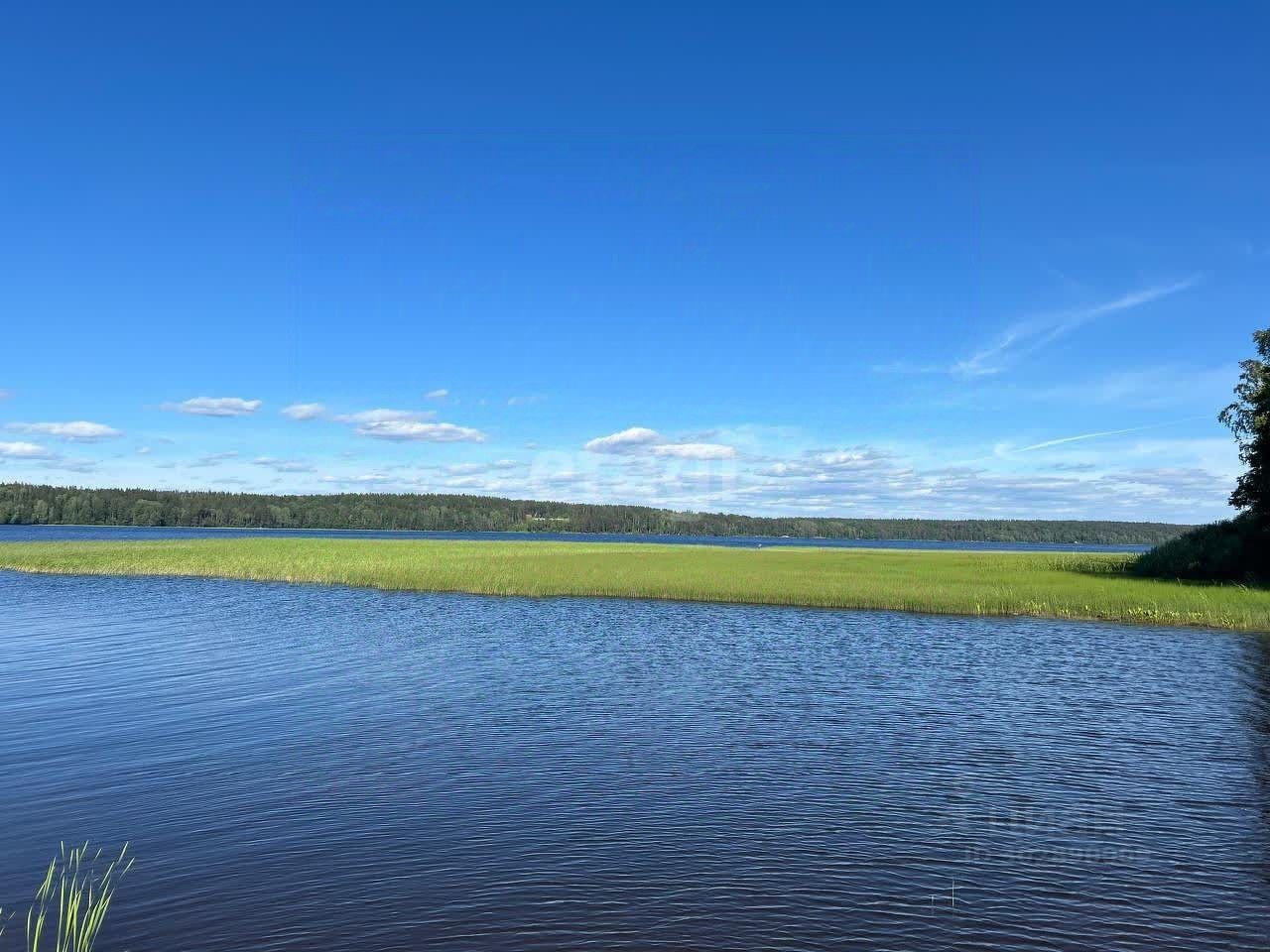 Купить загородную недвижимость в коттеджном поселке Лесная Ривьера в  городском поселении Приморское, продажа загородной недвижимости - база  объявлений Циан. Найдено 5 объявлений