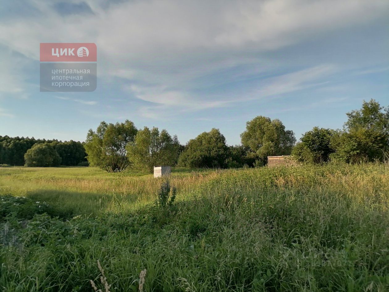 Купить загородную недвижимость в Захаровском районе Рязанской области,  продажа загородной недвижимости - база объявлений Циан. Найдено 117  объявлений