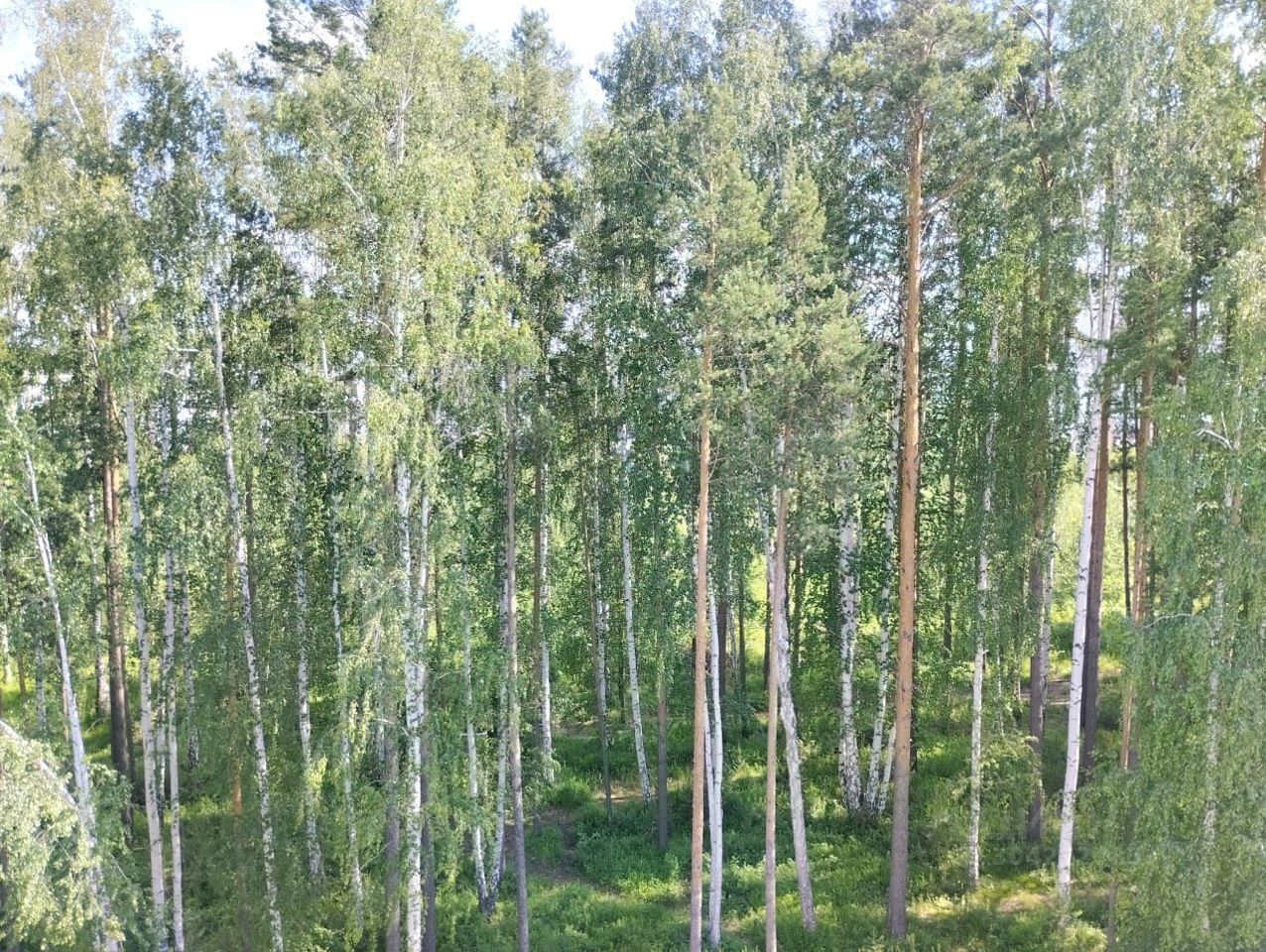 Купить квартиру в микрорайоне Зеленый Бор-2 в городе Полевской, продажа  квартир во вторичке и первичке на Циан. Найдено 3 объявления