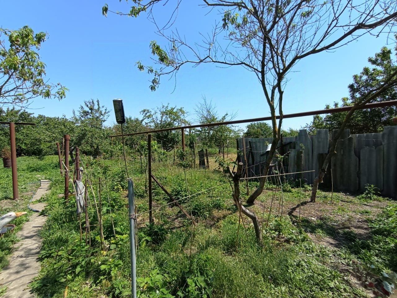 Купить загородную недвижимость на улице Островского в станице Варениковская,  продажа загородной недвижимости - база объявлений Циан. Найдено 2 объявления