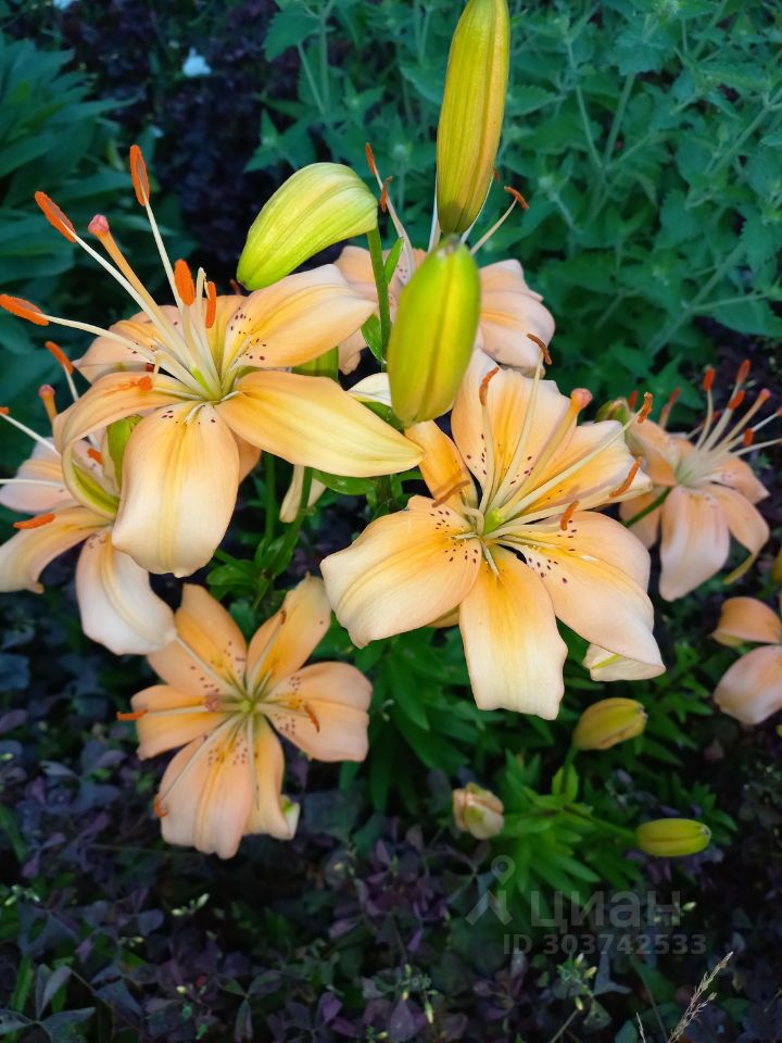 Дом в Ивановская область, Иваново Ивановская ул., 32 (60 м²)