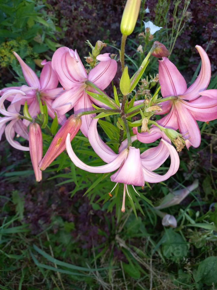 Дом в Ивановская область, Иваново Ивановская ул., 32 (60 м²)