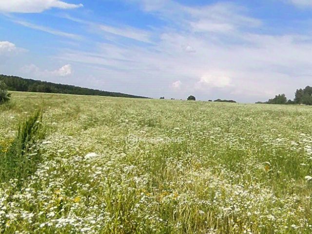 Ошибка загрузки фото