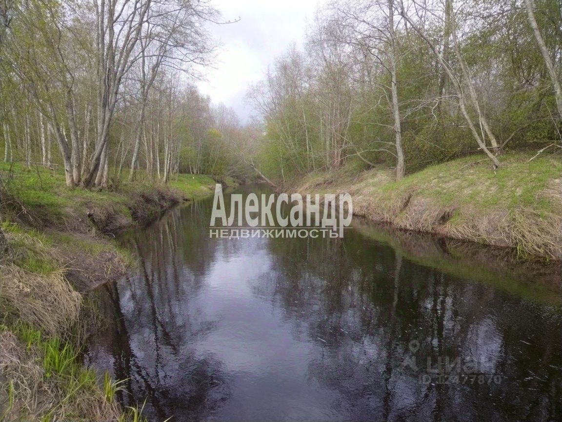 Купить земельный участок в деревне Низино Волховского района, продажа  земельных участков - база объявлений Циан. Найдено 3 объявления