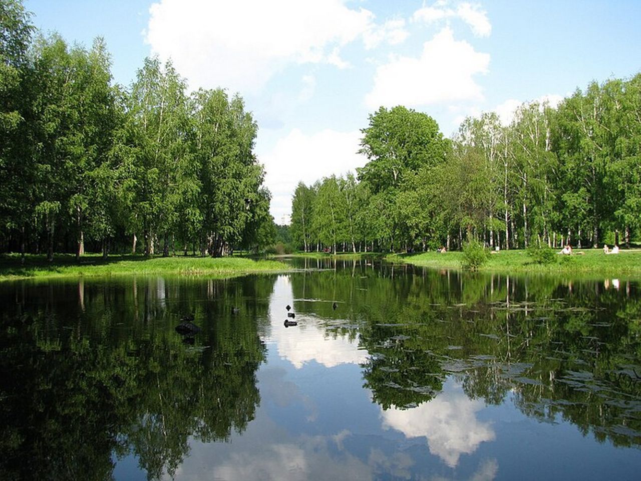 Парки