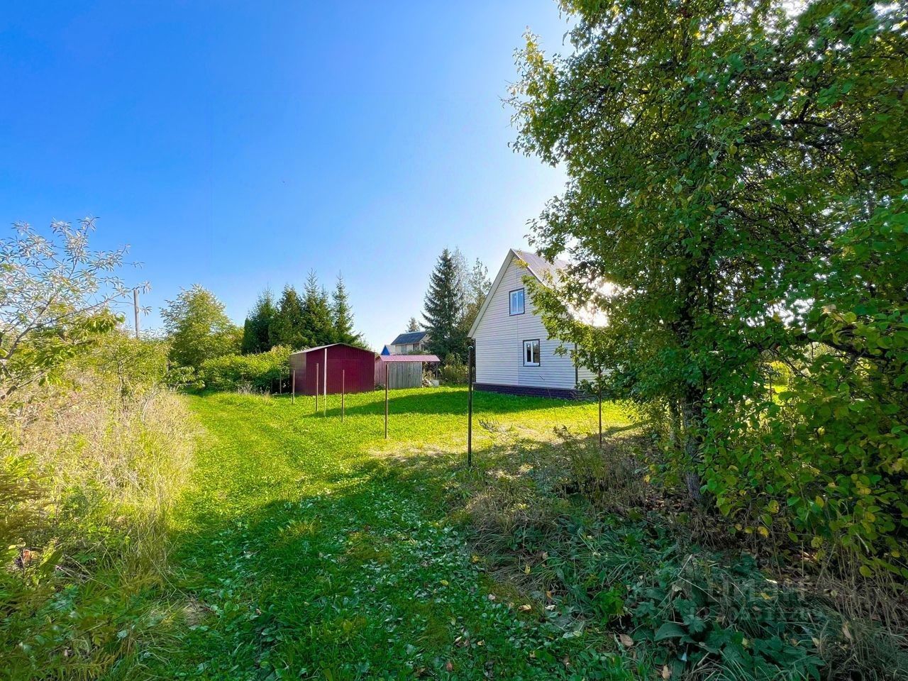 Торковичи купчино