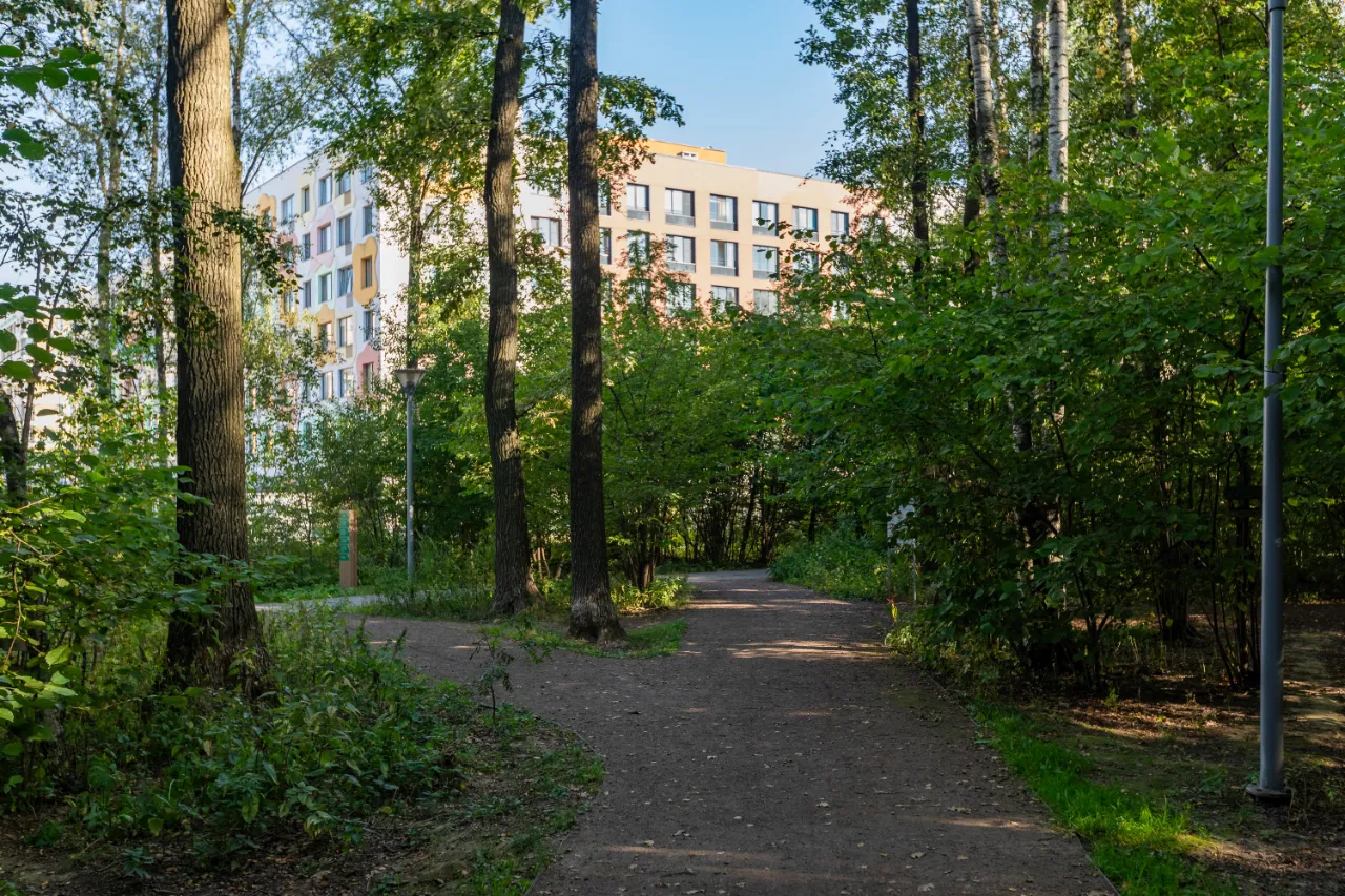 Парки