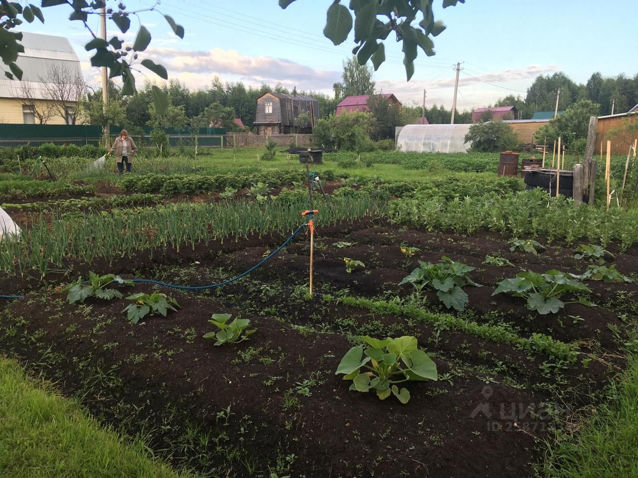 Купить загородную недвижимость в СНТ Бытовик Добровского района, продажа  загородной недвижимости - база объявлений Циан. Найдено 3 объявления