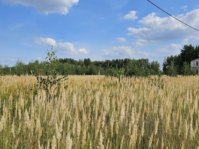 Ошибка загрузки фото