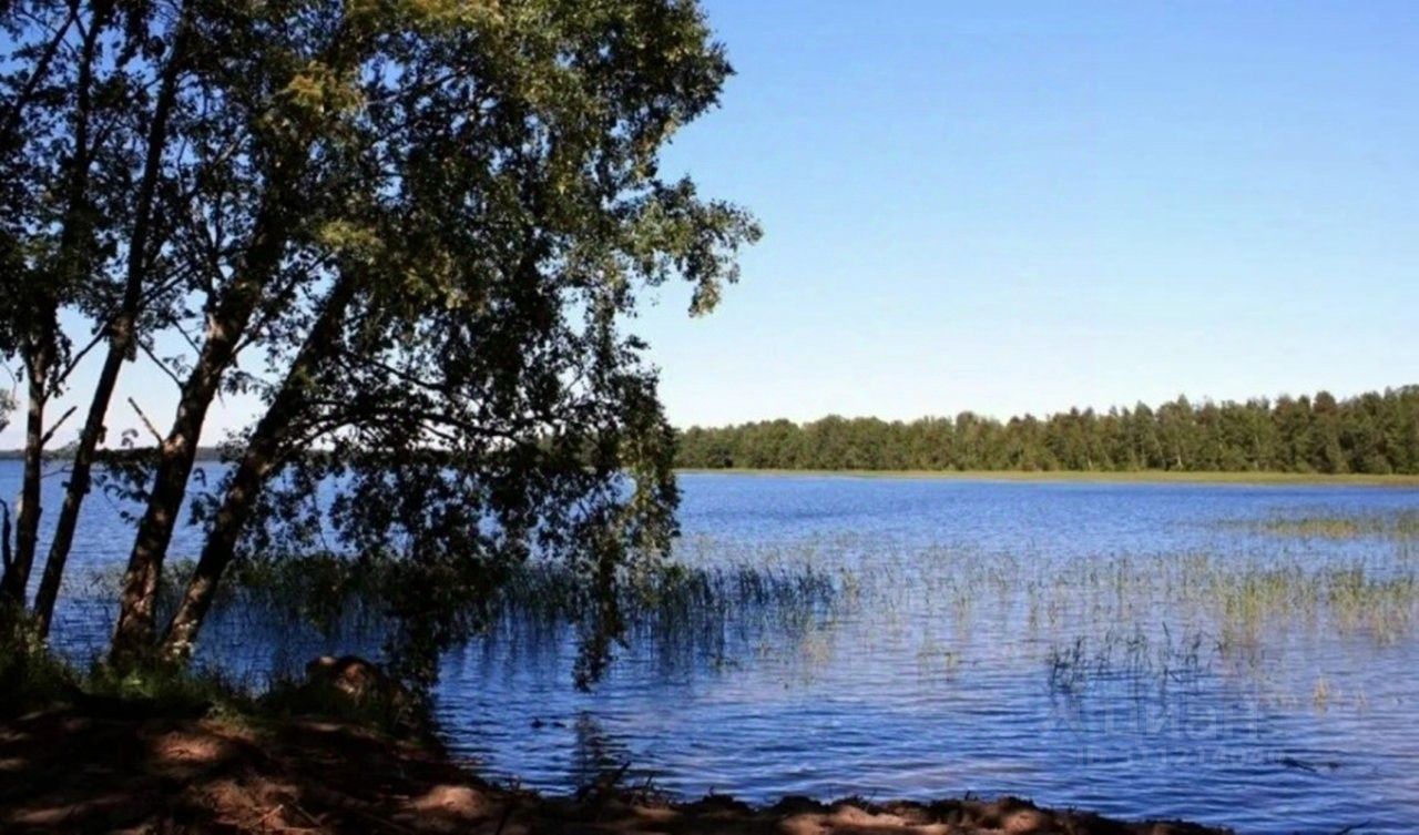Бухта отрадное. Озеро отрадное ленинградская область. Отрадные берега приозерского. Озеро отрадное приозерский. Отрадные берега приозерского.