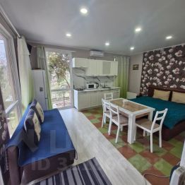1-комн. кв 30 м2, 1/1 эт