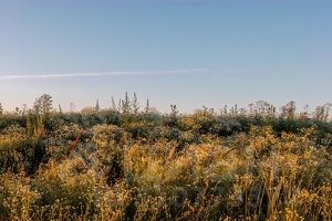 3-комн.кв., 78 м², этаж 13