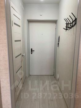 студия, 24 м², этаж 15