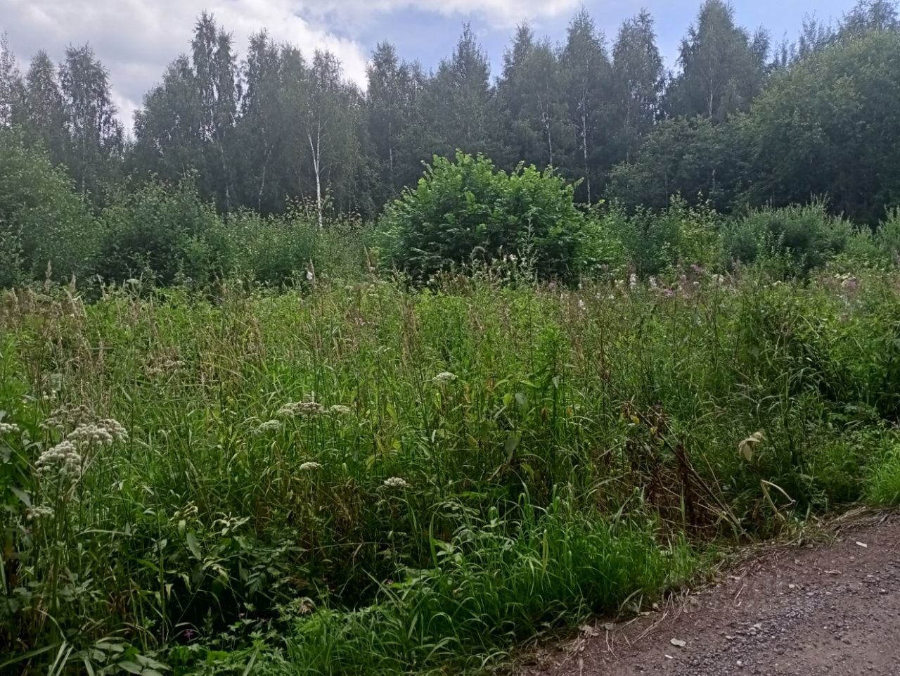 Купить загородную недвижимость в деревне Заовражье Московской области,  продажа загородной недвижимости - база объявлений Циан. Найдено 8 объявлений