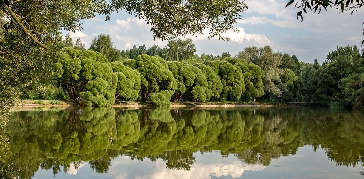 Парки