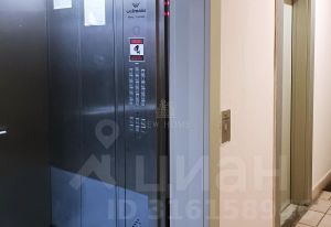 2-комн.кв., 55 м², этаж 17