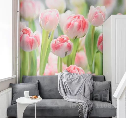 Студия, 16 м², 2/5 этаж