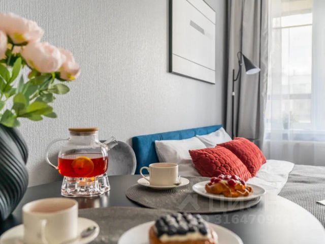 Студия, 24 м², 9/10 этаж