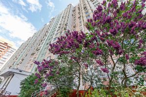 2-комн.кв., 53 м², этаж 13