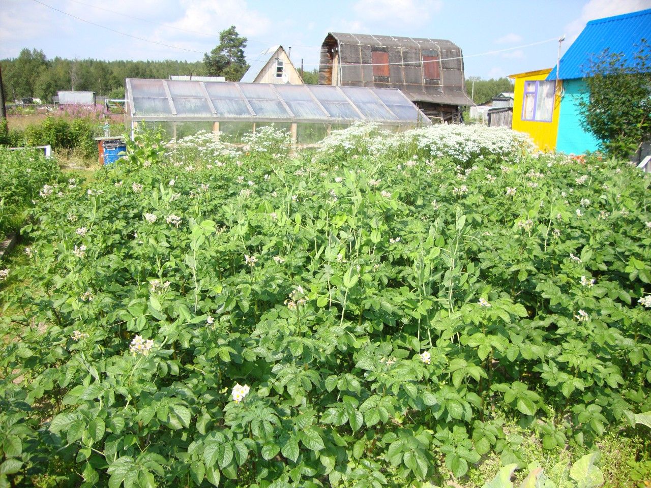 Купить земельный участок на улице Слюдяная в городе Ковдор, продажа  земельных участков - база объявлений Циан. Найдено 1 объявление