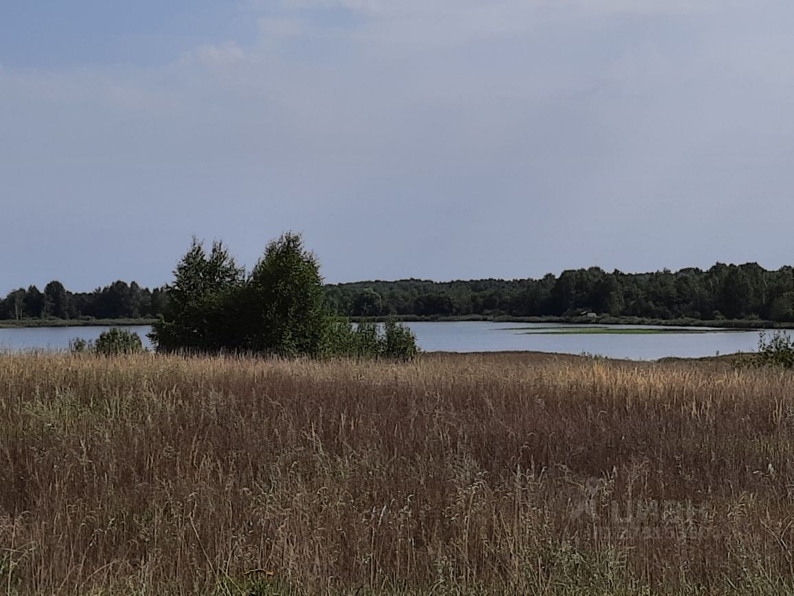 Купить загородную недвижимость в деревне Монаково Собинского района,  продажа загородной недвижимости - база объявлений Циан. Найдено 1 объявление