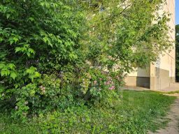 2-комн.кв., 54 м², этаж 10