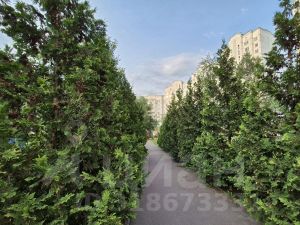 1-комн.кв., 39 м², этаж 3