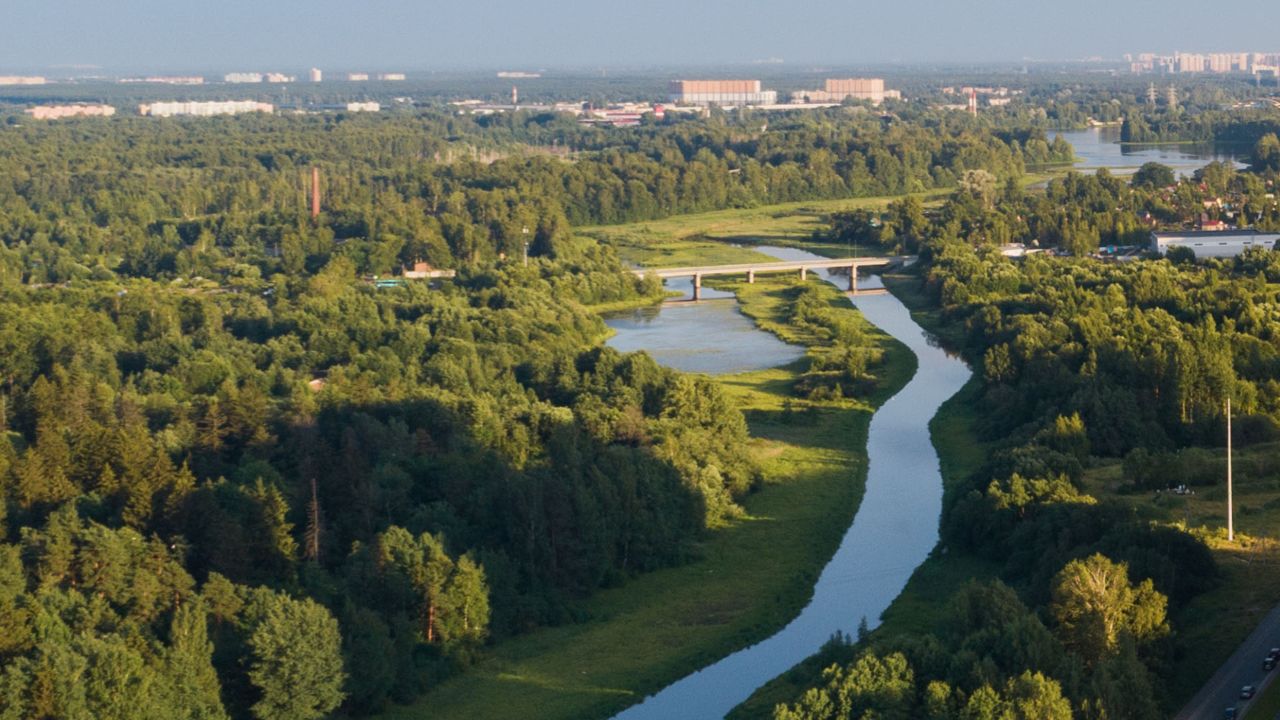 Парки