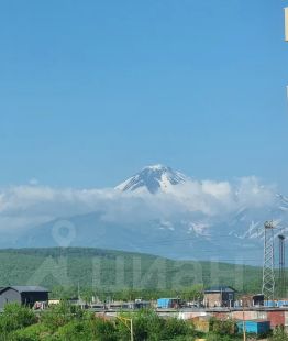 1-комн. кв 55 м2, 5/13 эт
