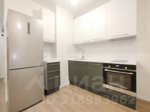 студия, 24 м², этаж 10