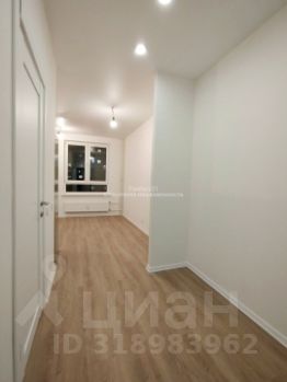 студия, 24 м², этаж 10