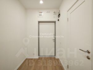 студия, 24 м², этаж 10