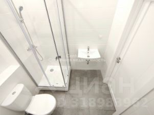 студия, 24 м², этаж 10