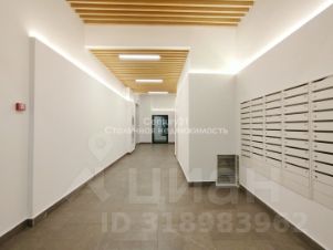 студия, 24 м², этаж 10
