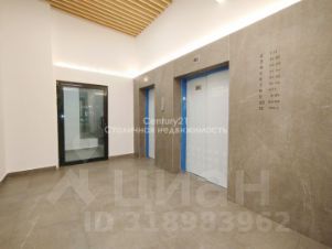 студия, 24 м², этаж 10