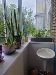 2-комн.кв., 46 м², этаж 2