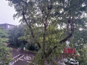 2-комн.кв., 51 м², этаж 4