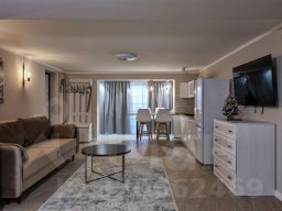 1-комн. кв 55 м2, 1/1 эт