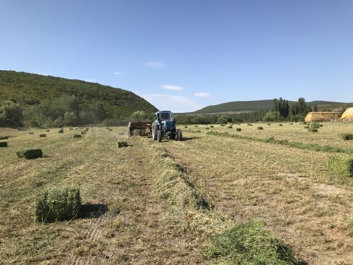 Ошибка загрузки фото