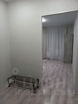 студия, 30 м², этаж 5