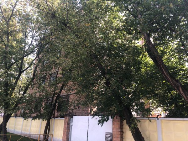 Офисно-производственный комплекс на ул. 2-я Хуторская, 31