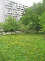 1-комн.кв., 39 м², этаж 2