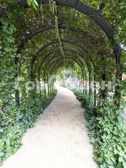 2-комн.кв., 50 м², этаж 3
