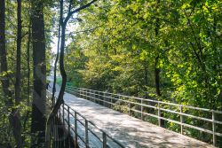 1-комн.кв., 33 м², этаж 2 1-комн.кв., 33 м², этаж 2