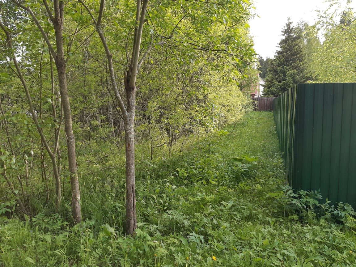 Купить участок 6 соток в городском округе Можайском Московской области.  Найдено 52 объявления.