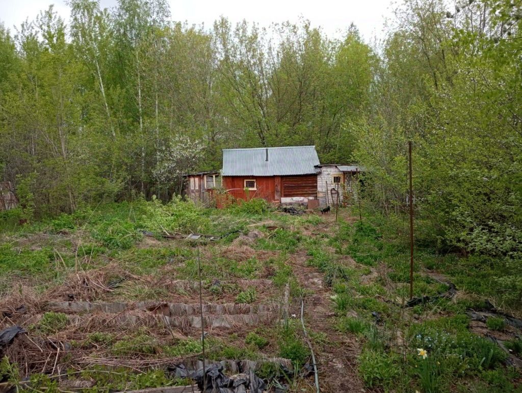 Купить земельный участок в СНТ № 6 Новое Доскино в городе Нижний Новгород,  продажа земельных участков - база объявлений Циан. Найдено 1 объявление