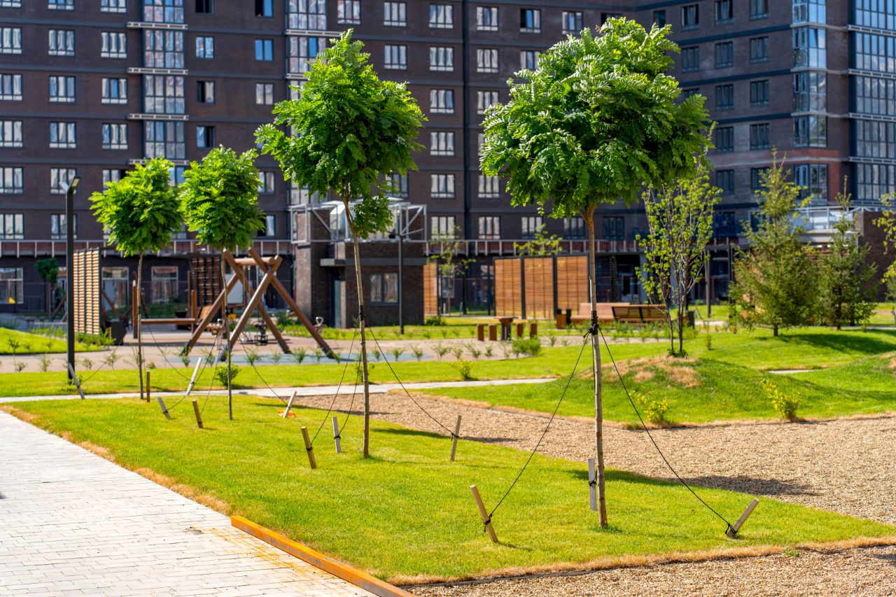Парки